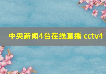 中央新闻4台在线直播 cctv4